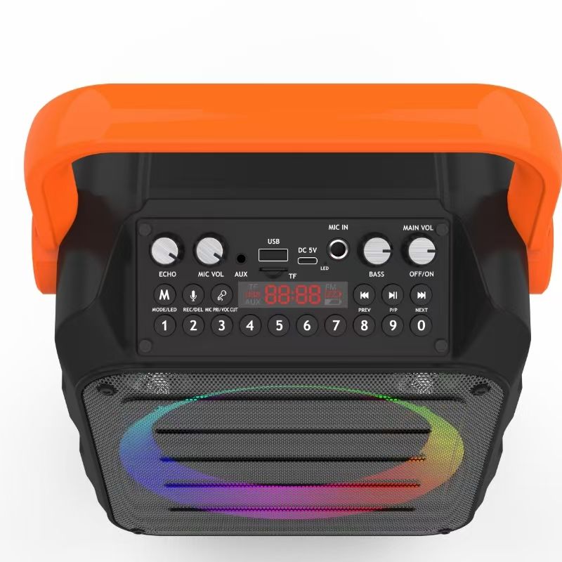 High Quality Portable Karaoke Speaker With Dual Microphones